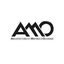 logo-AMO